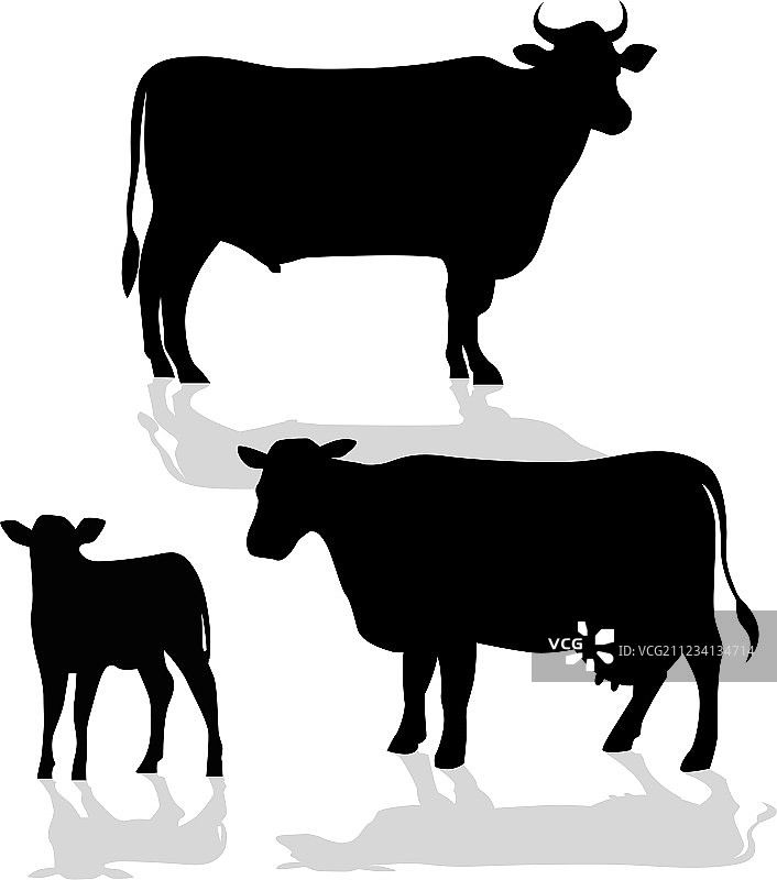 奶牛家族的影子剪影图片素材