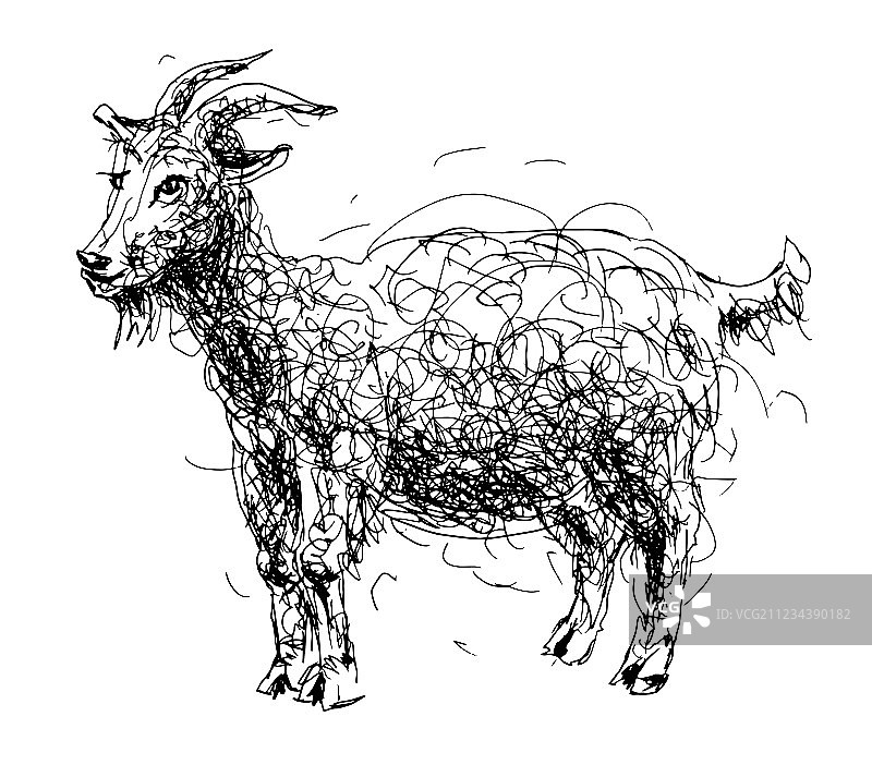 中国山羊或绵羊素描涂鸦图片素材