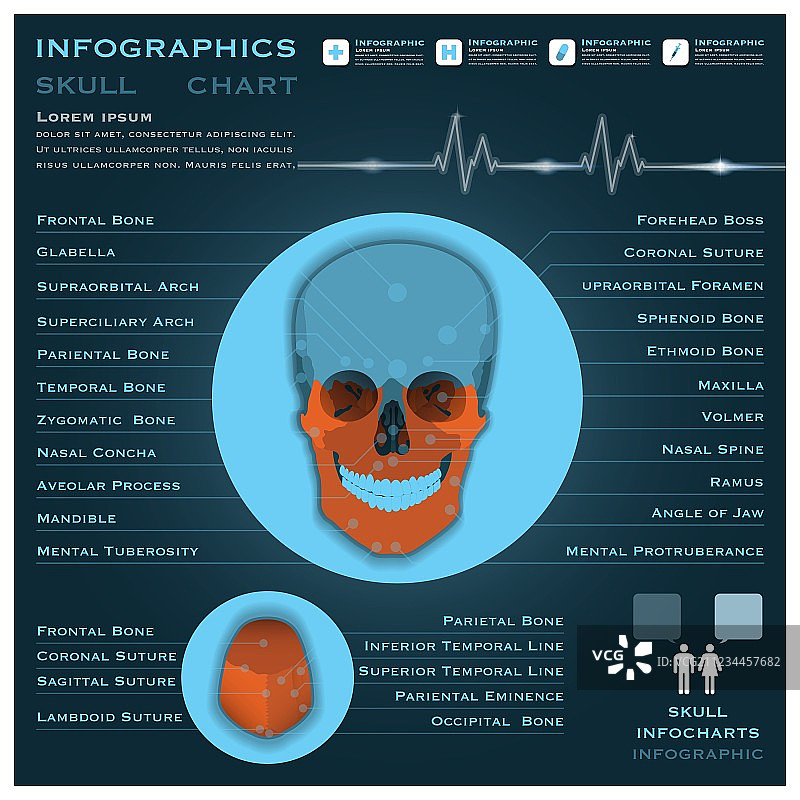 健康和医疗信息图表图片素材