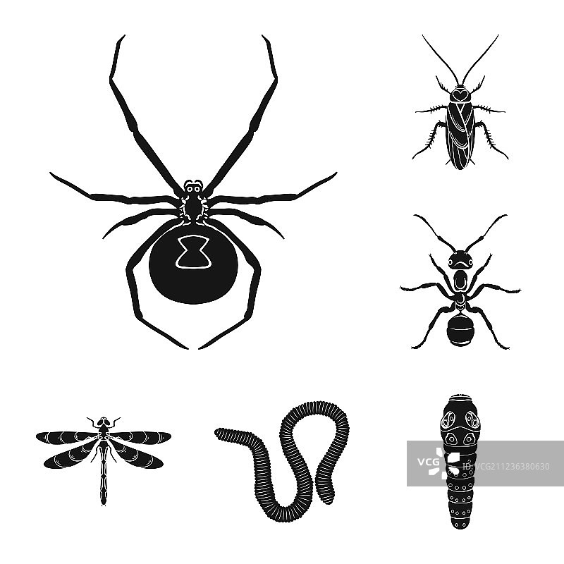 不同种类的昆虫黑色图标设置图片素材