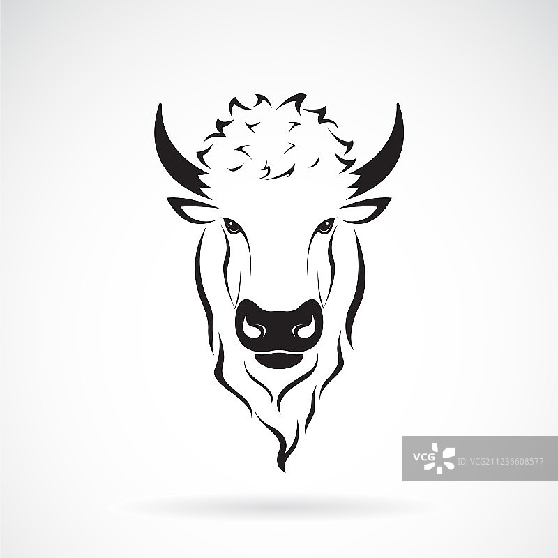 水牛头设计在白色的背景野生图片素材