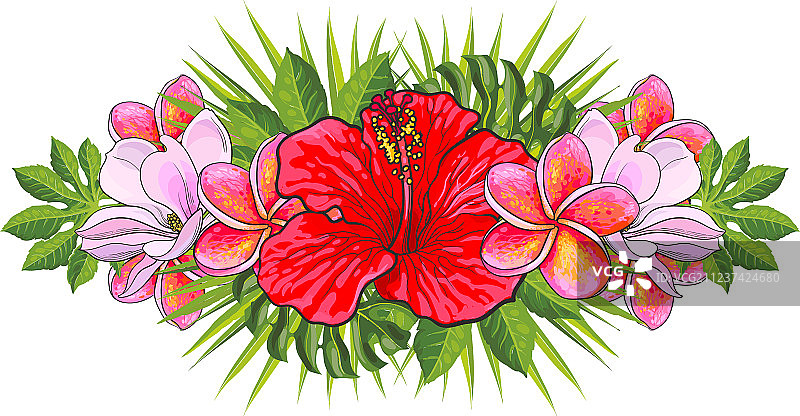 热带花卉美丽的孤立组成图片素材