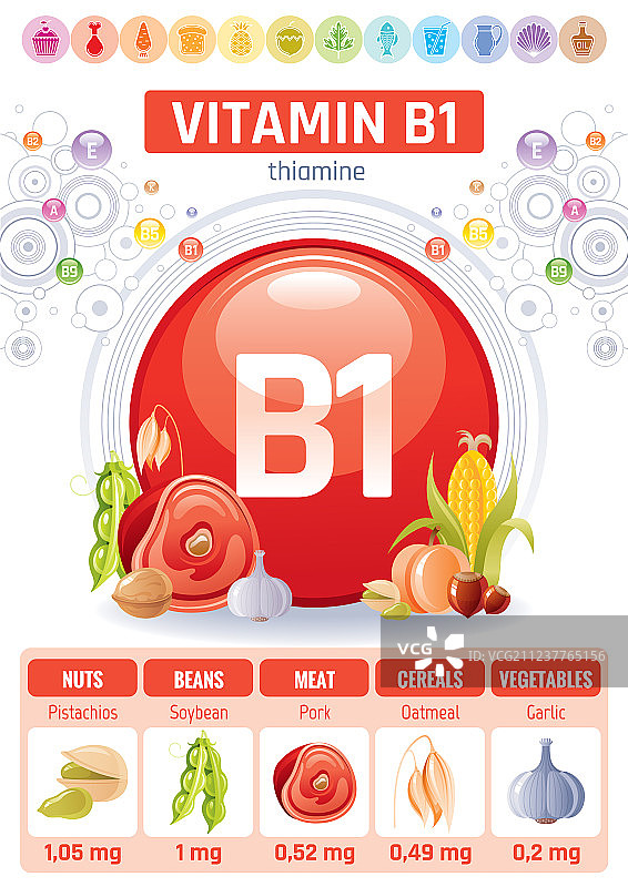 硫胺素，维生素b1食物代表健康饮食图片素材