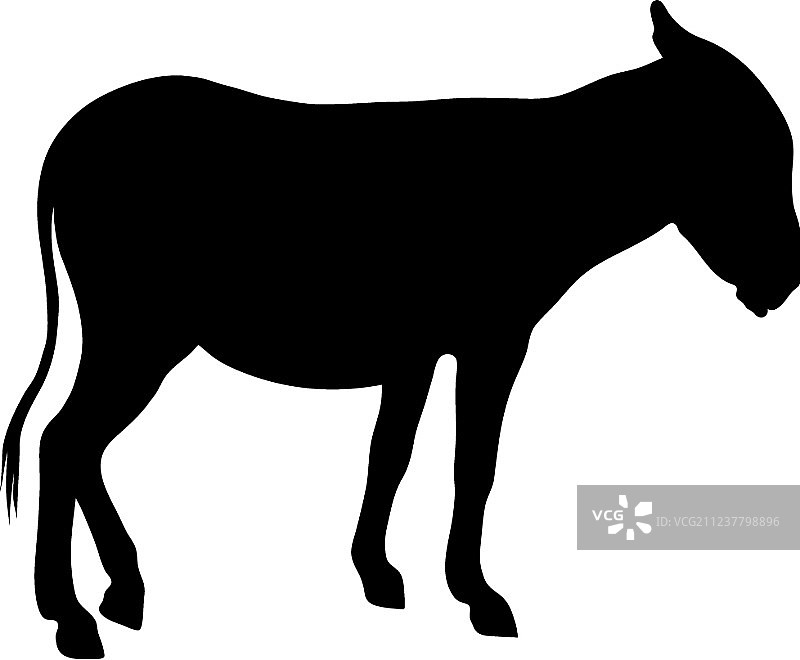 白色背景上驴子的黑色剪影图片素材