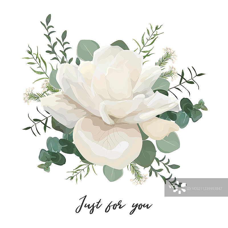 花卡片设计与白玫瑰和桉树图片素材