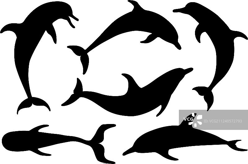 一组海豚剪影图片素材