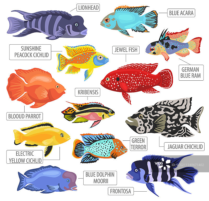 淡水养鱼品种图标设置平图片素材