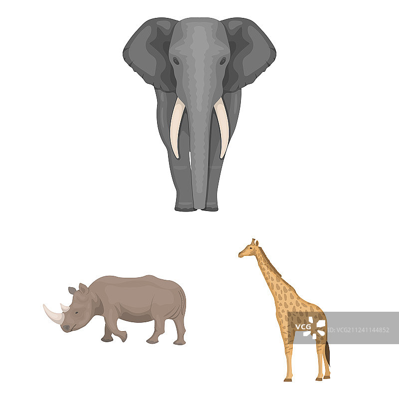 不同的动物卡通图标在集合图片素材