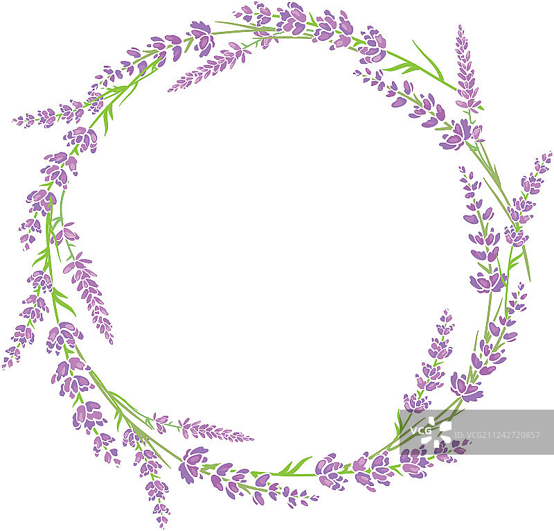 紫绿色薰衣草花圈排列图片素材