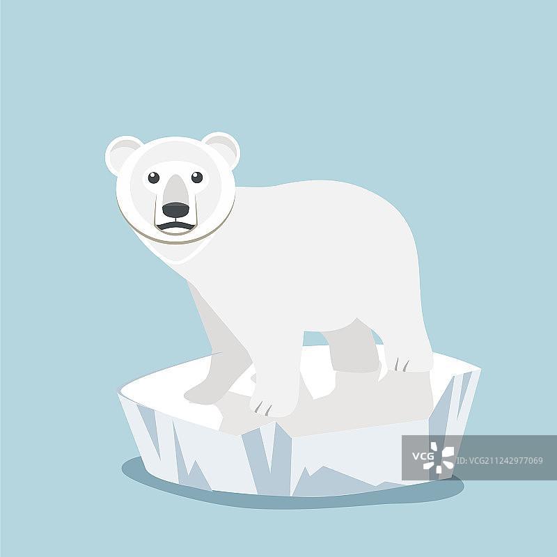 可爱的小北极熊在浮冰上图片素材