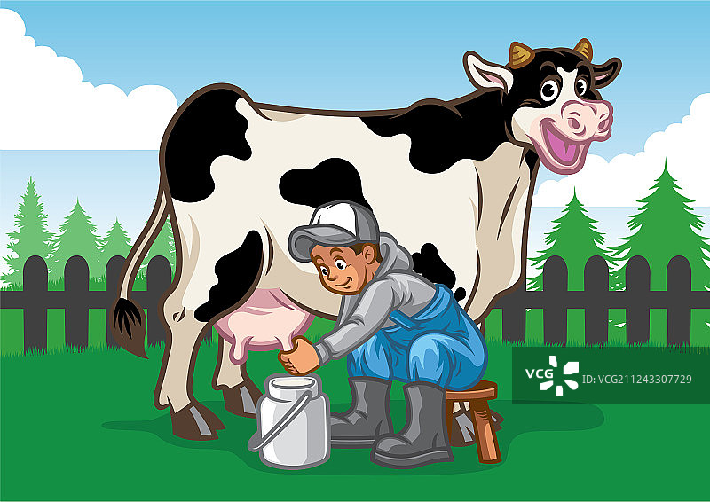 农夫挤奶时，快乐的奶牛图片素材