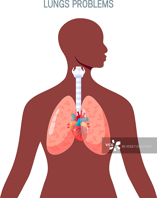 人类肺部图标在简单的平面风格图片素材