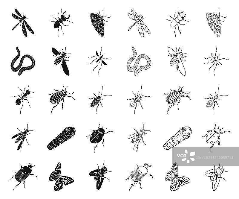不同种类的昆虫黑色轮廓图标中图片素材