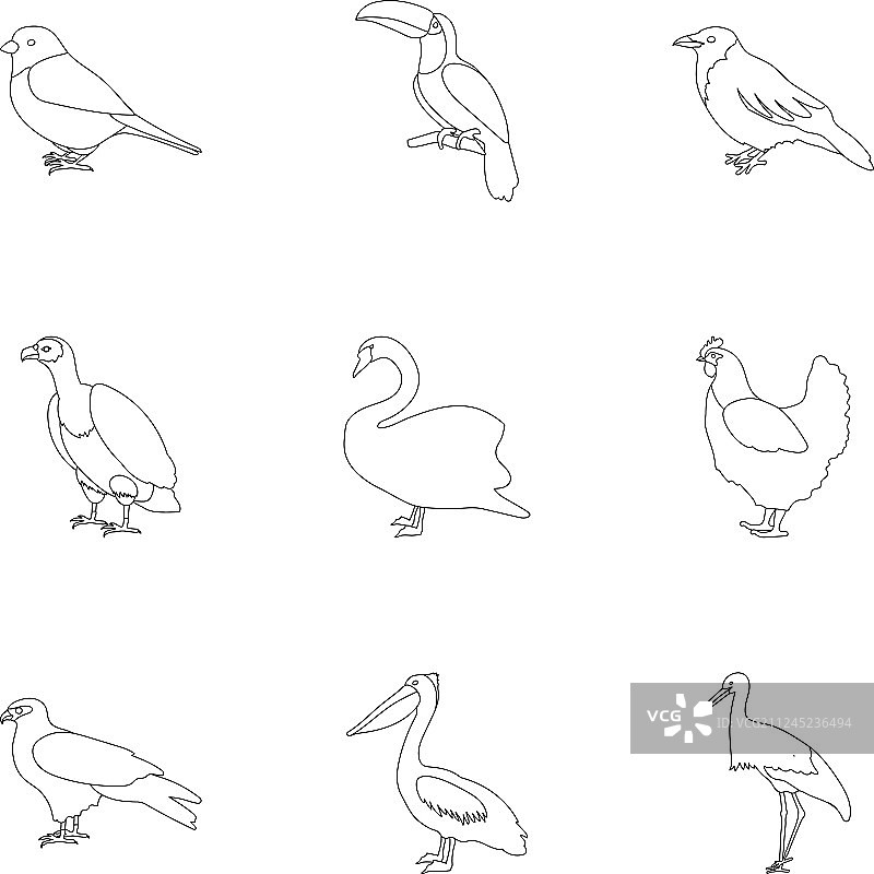 鸟设置图标在轮廓风格大收集图片素材