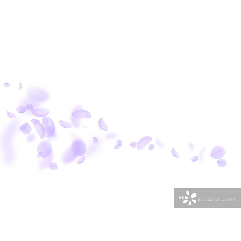 紫罗兰花瓣飘落，有趣浪漫图片素材