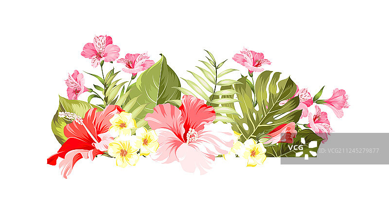 异国鲜花花束的颜色bud花环标签图片素材