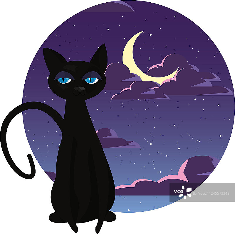 黑猫坐在晚上图片素材