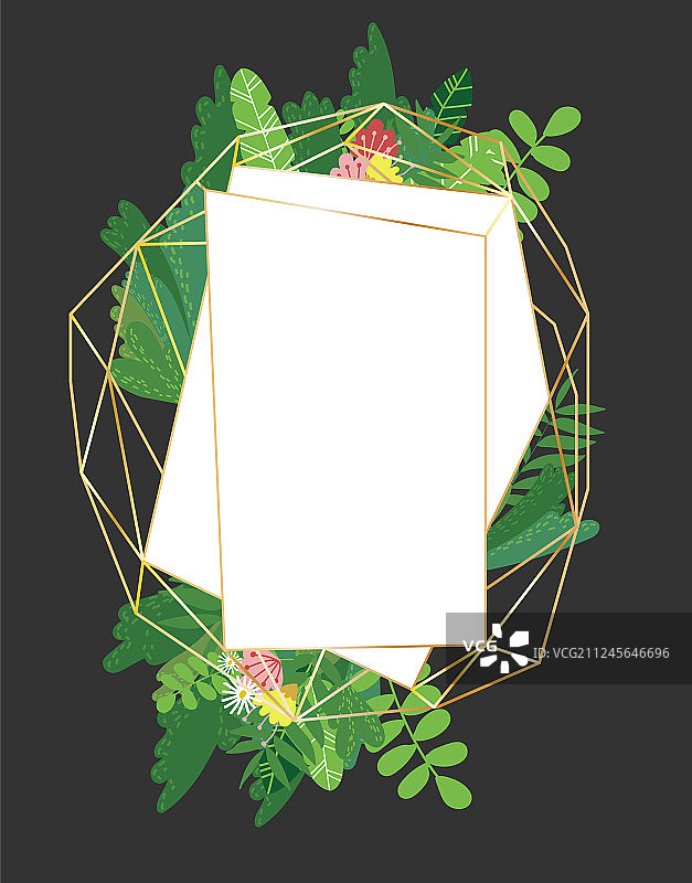 几何植物设计框架图片素材