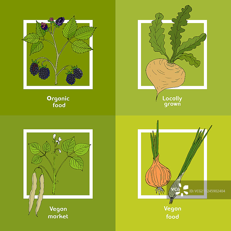 有新鲜蔬菜的素食农贸市场卡图片素材