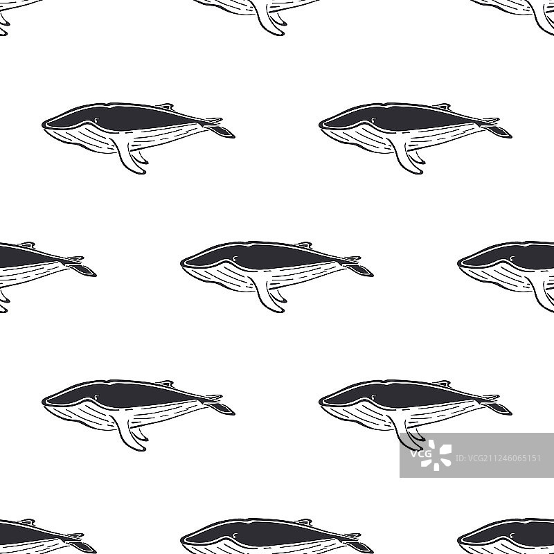 鲸鱼角色抽象手绘图片素材
