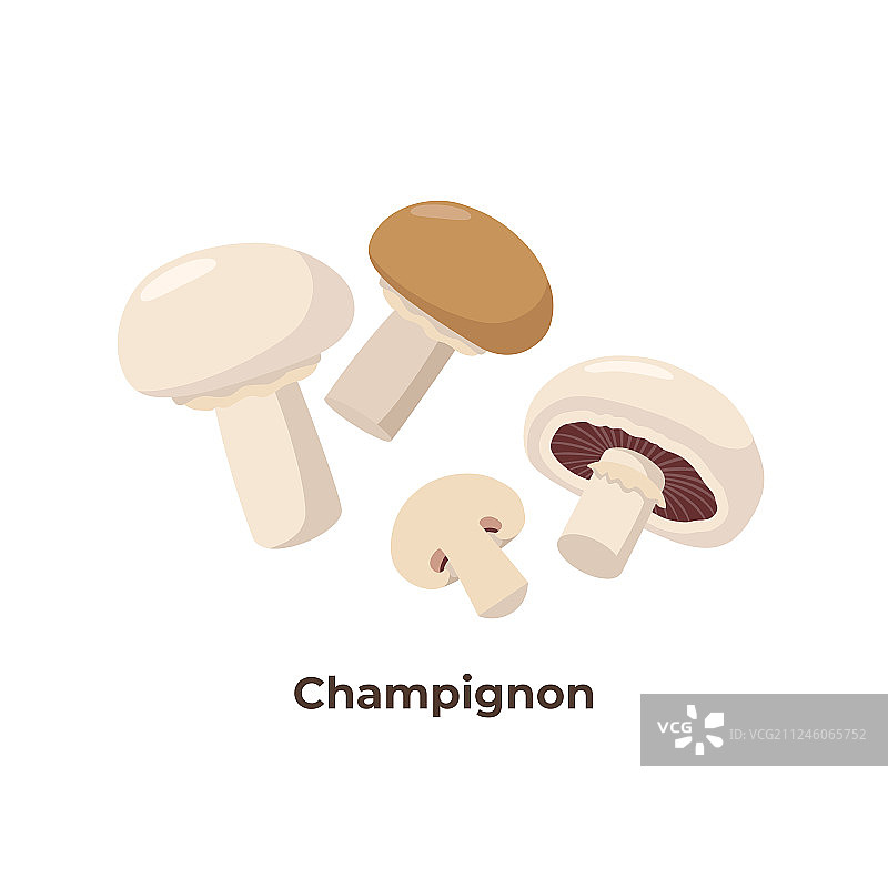 分离在白色背景上的香槟蘑菇图片素材