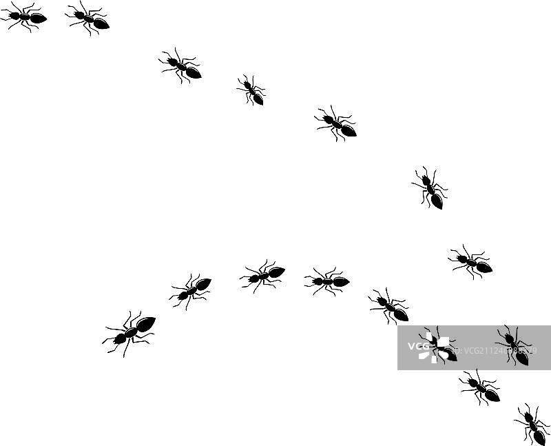 蚂蚁标志模板图片素材