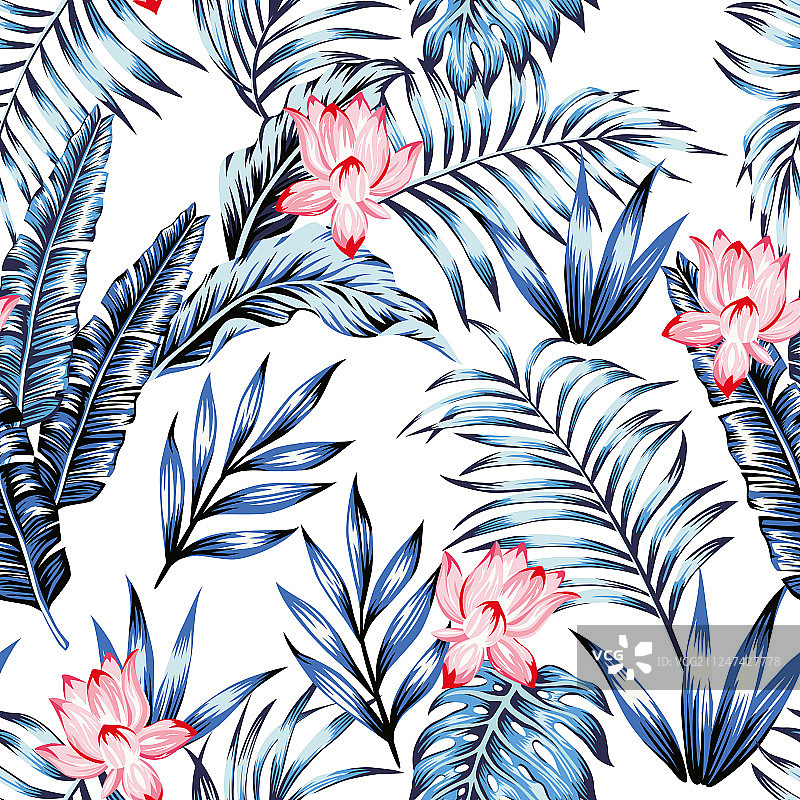 蓝色的热带叶子，粉红色的花，白色的背景图片素材