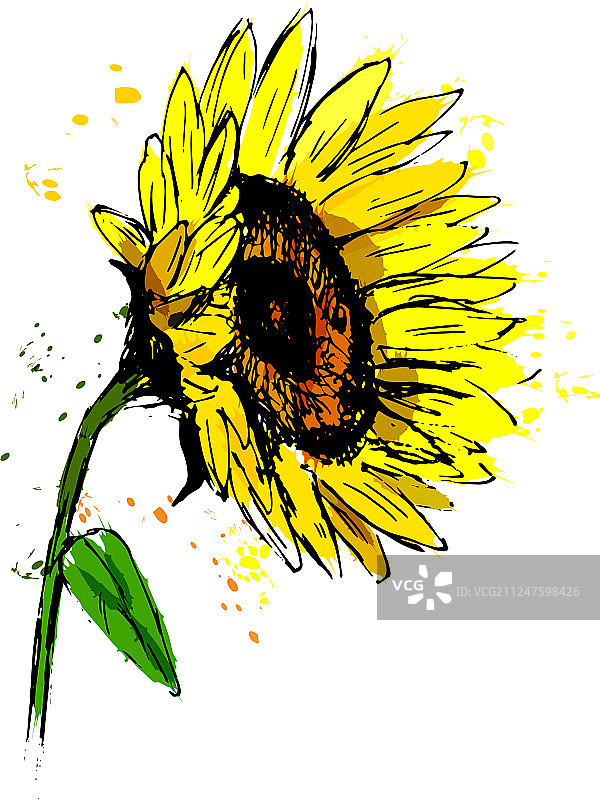 彩色手绘向日葵素描图片素材