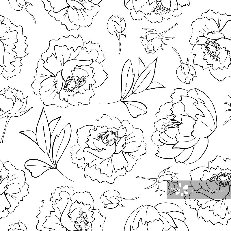 勾勒出牡丹花蕾和叶的图案图片素材