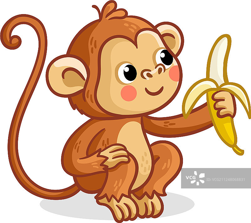 白色背景上的猴子在吃香蕉图片素材