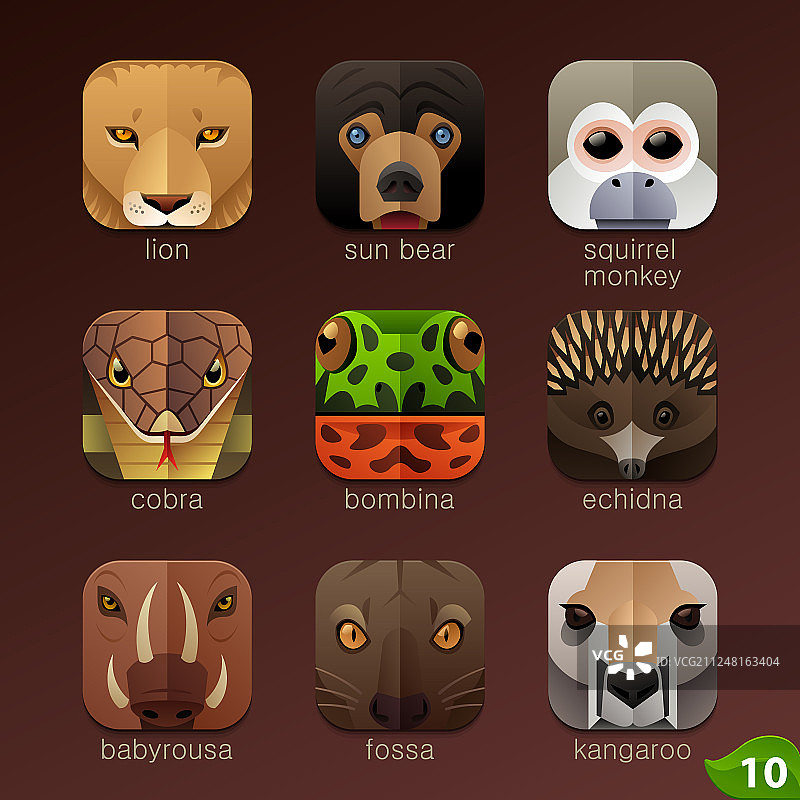 动物脸的应用程序图标设置10图片素材