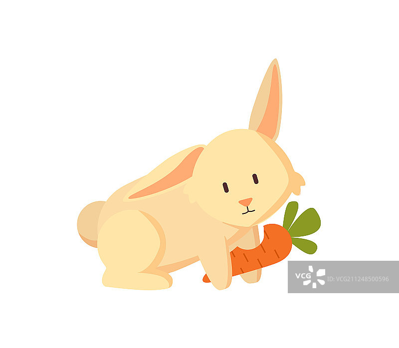 兔子与胡萝卜素可爱的生物隔离图片素材