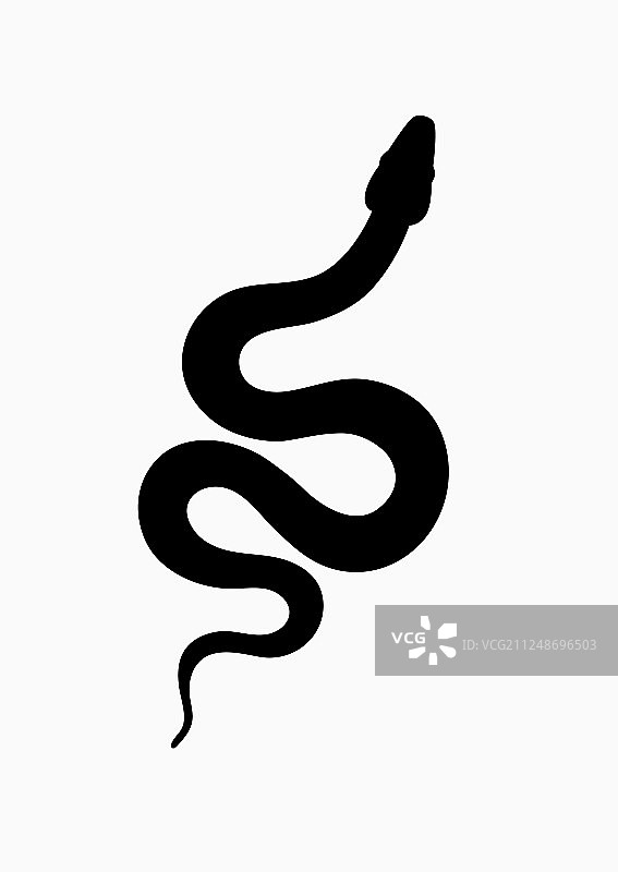 黑色剪影蛇孤立的象征或图标图片素材