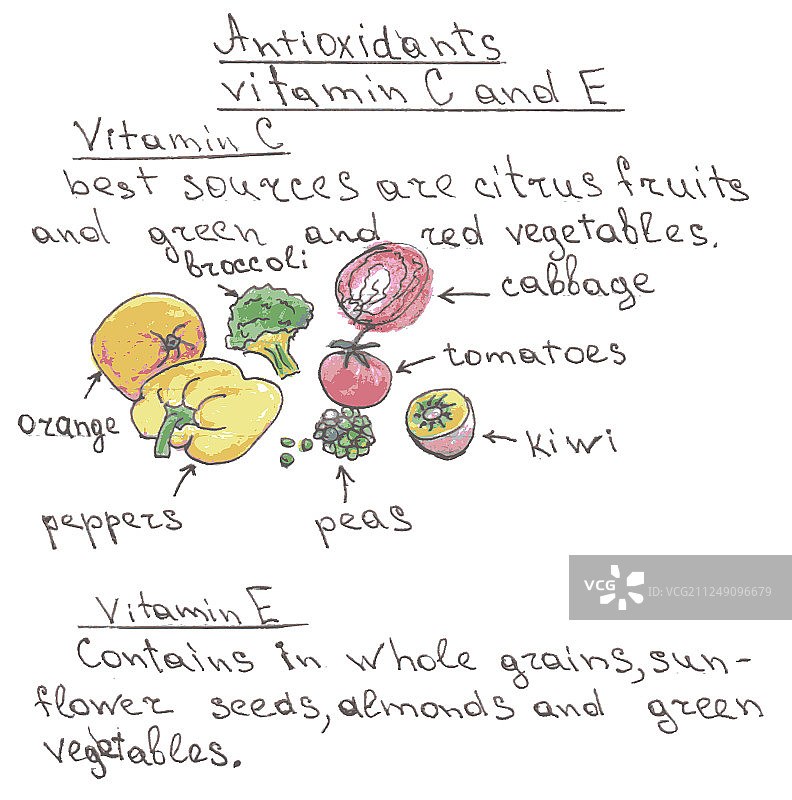 蔬菜和水果手绘图片素材