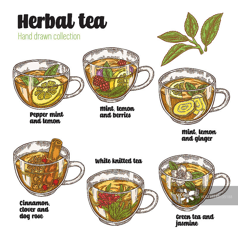 手绘各种草药茶的健康配方图片素材