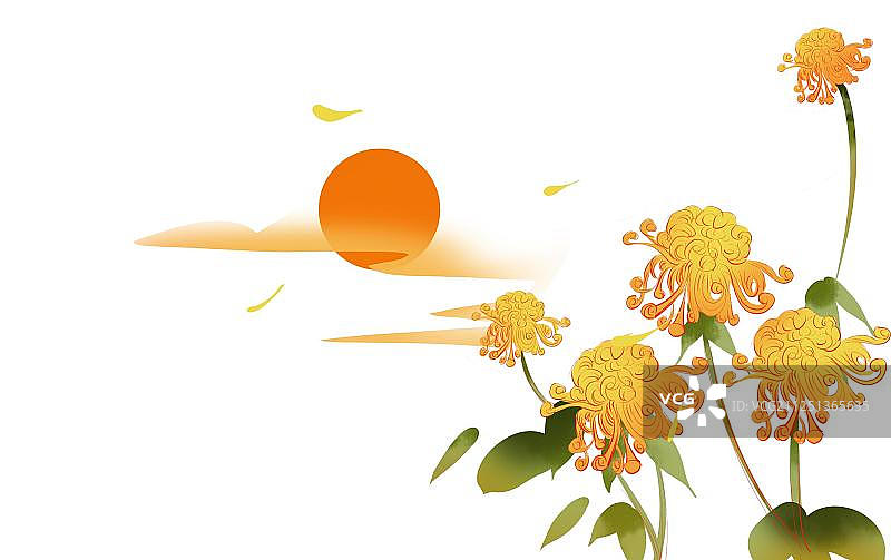 重阳节传统黄色菊花免扣插画元素图片素材
