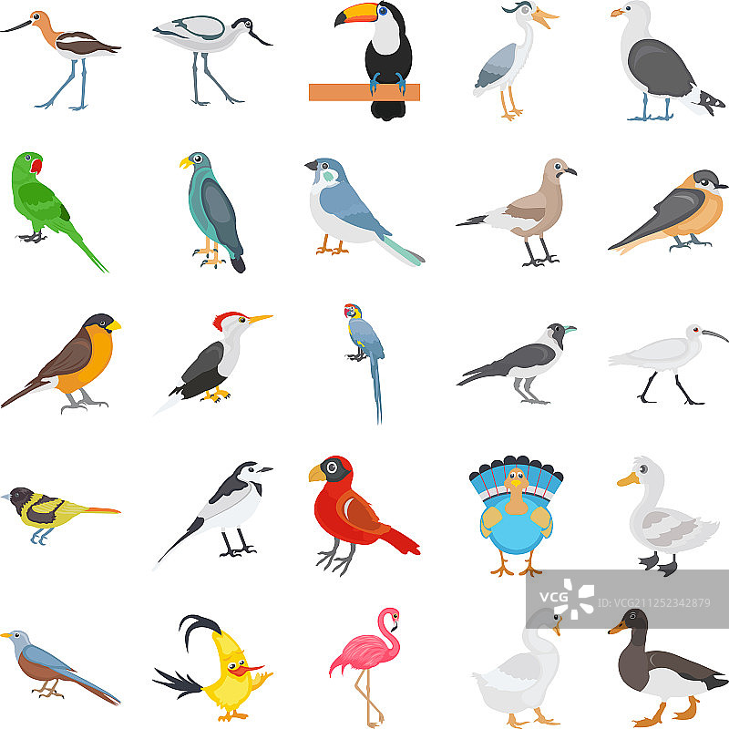 鸟类的色彩千变万化图片素材