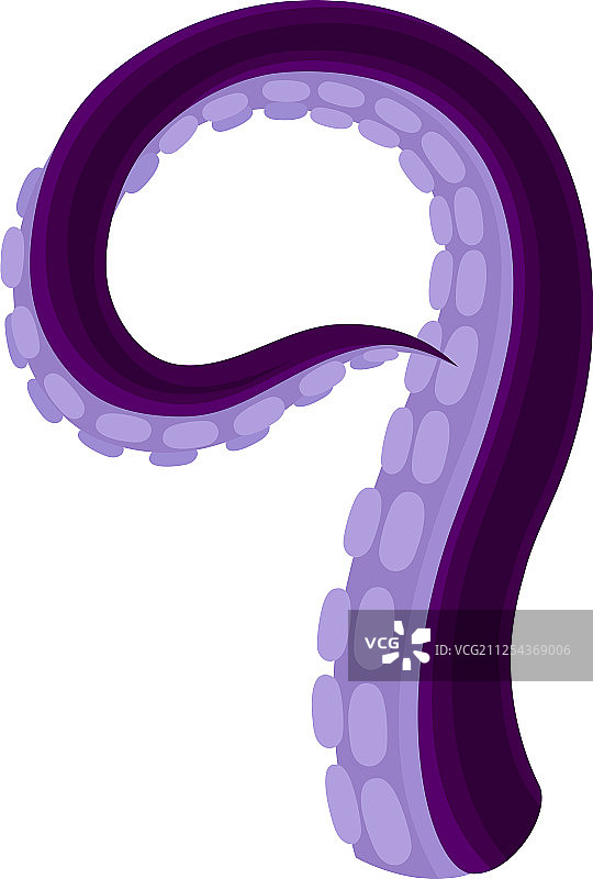 章鱼或鱿鱼的亮紫色触须图片素材