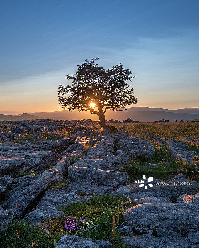 景观与树木和岩层在草地日落，约克郡山谷，英格兰，英国图片素材