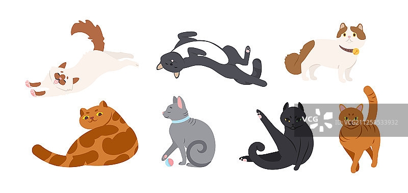 一组可爱的各种品种的猫躺着图片素材