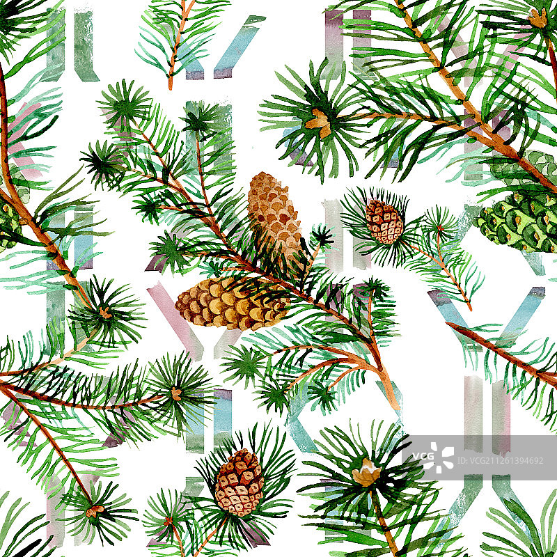 云杉和松树的树枝。水彩背景插图集。无缝的背景图案。图片素材