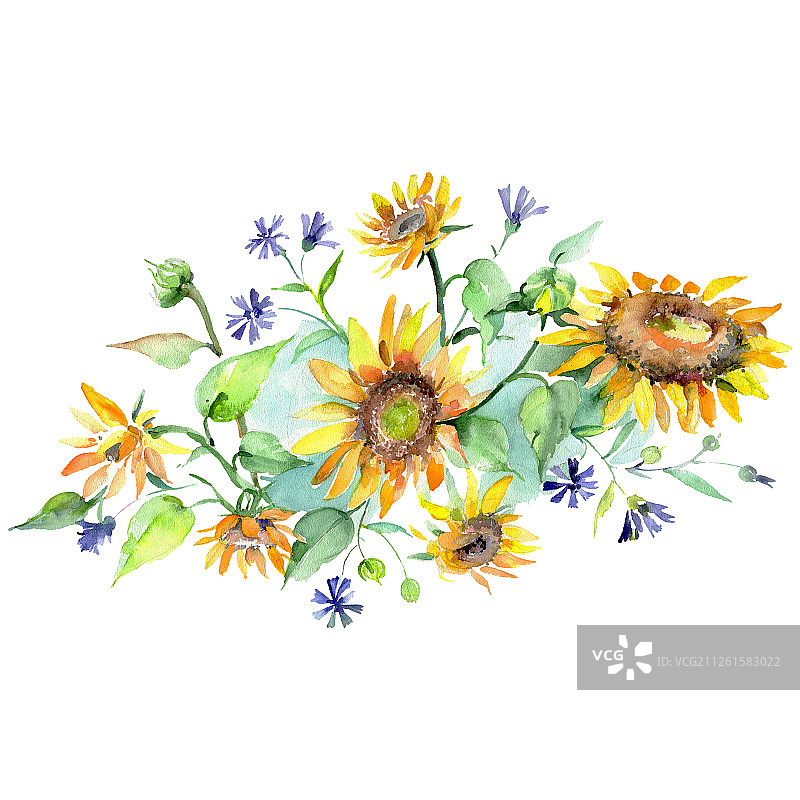 向日葵花束植物花。水彩背景设置。孤立的花束插图元素。图片素材