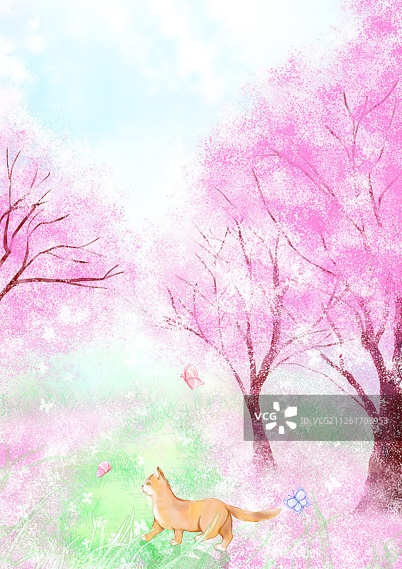 樱花树林图片素材