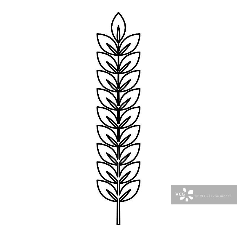 小麦小穗植株枝条图标轮廓黑色矢量插图平面风格简单形象图片素材