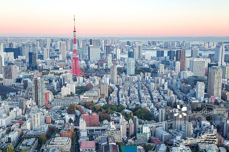 六本木之丘拍东京塔图片素材