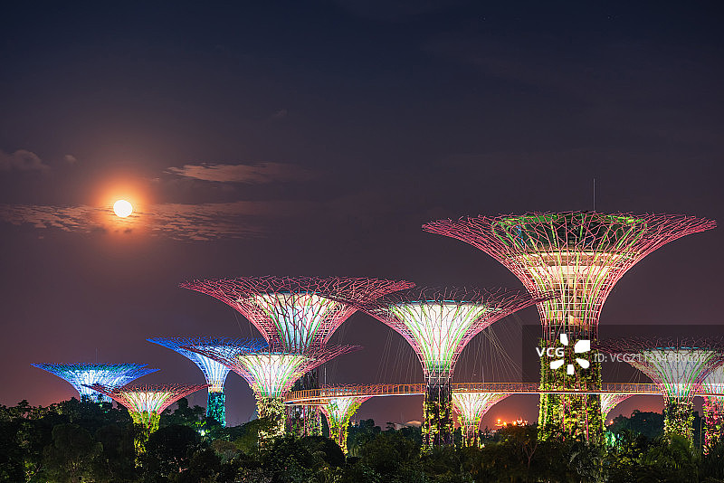 新加坡滨海湾花园夜景图片素材