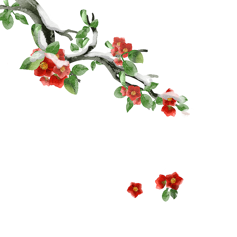 水彩风格植物冬天的梅花插画图片素材