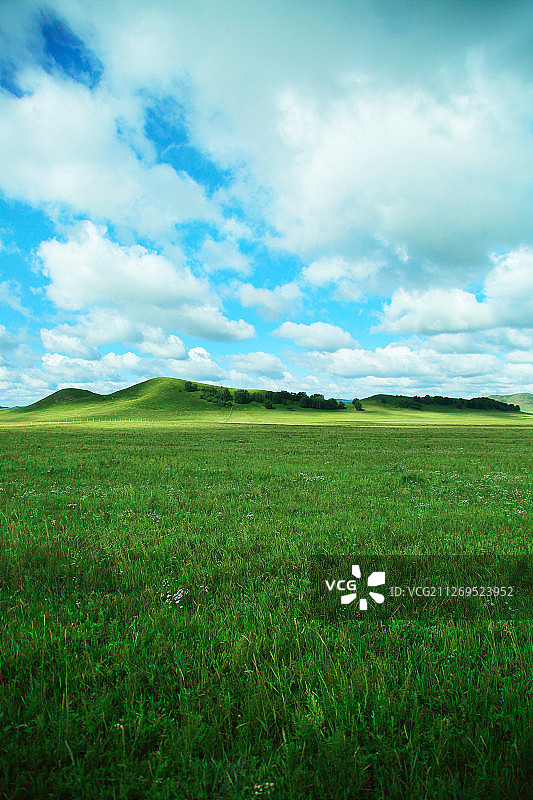 乌兰布统的草原风光图片素材