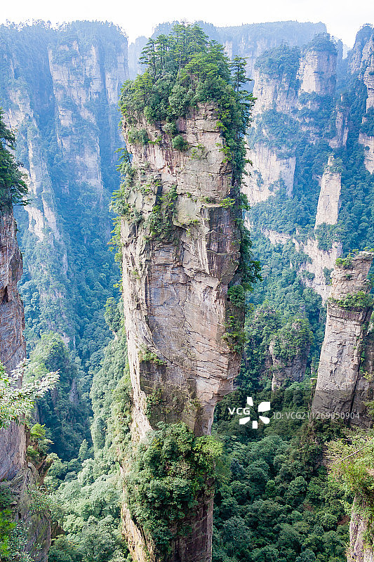 中国张家界国家公园的山图片素材