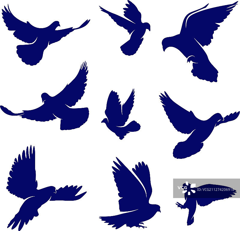 设鸽子标志设计概念鸟标志图片素材